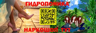 индика Апшеронск