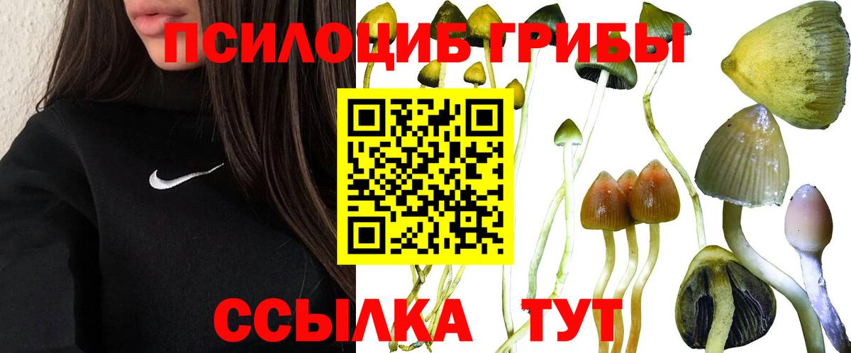 Галлюциногенные грибы ЛСД  Галлюциногенные грибы ЛСД  Вход с VPN  Богданович 